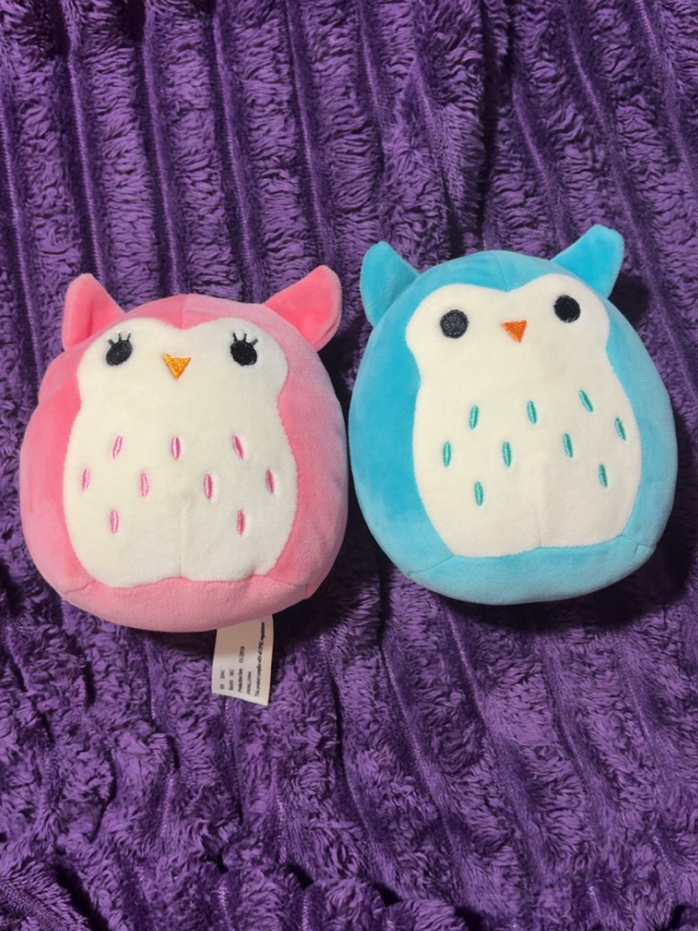 Pink and Blue Owl Squishmallow Duo